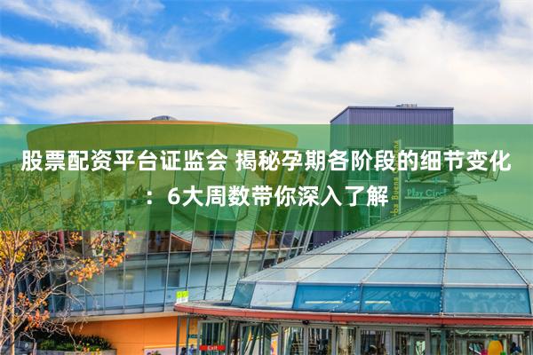股票配资平台证监会 揭秘孕期各阶段的细节变化：6大周数带你深入了解