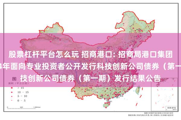 股票杠杆平台怎么玩 招商港口: 招商局港口集团股份有限公司2024年面向专业投资者公开发行科技创新公司债券（第一期）发行结果公告