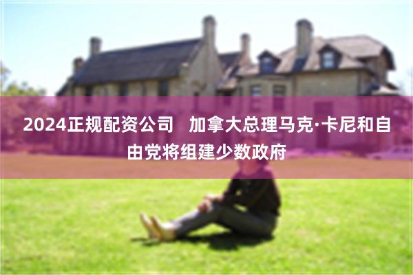 2024正规配资公司   加拿大总理马克·卡尼和自由党将组建少数政府