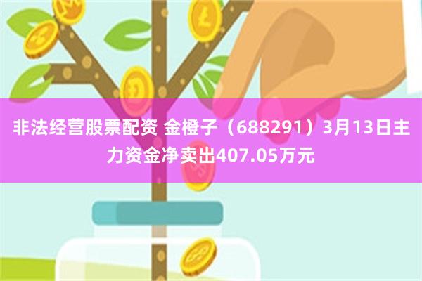 非法经营股票配资 金橙子（688291）3月13日主力资金净卖出407.05万元