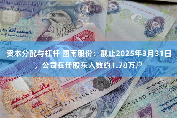 资本分配与杠杆 图南股份：截止2025年3月31日，公司在册股东人数约1.78万户