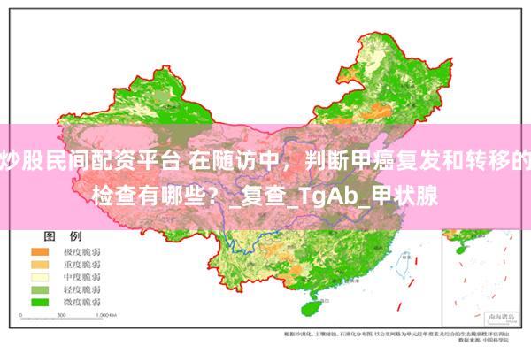 炒股民间配资平台 在随访中，判断甲癌复发和转移的检查有哪些？_复查_TgAb_甲状腺