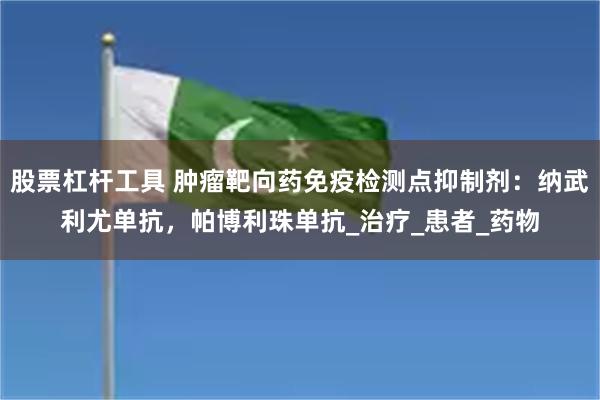 股票杠杆工具 肿瘤靶向药免疫检测点抑制剂：纳武利尤单抗，帕博利珠单抗_治疗_患者_药物