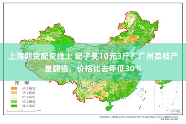 上海期货配资线上 妃子笑10元3斤？广州荔枝产量翻倍，价格比去年低30%