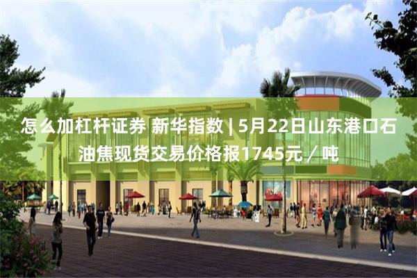 怎么加杠杆证券 新华指数 | 5月22日山东港口石油焦现货交易价格报1745元／吨
