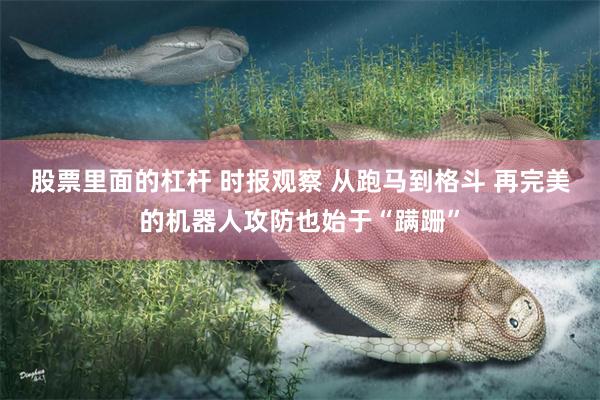 股票里面的杠杆 时报观察 从跑马到格斗 再完美的机器人攻防也始于“蹒跚”