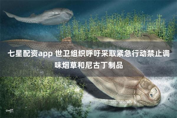 七星配资app 世卫组织呼吁采取紧急行动禁止调味烟草和尼古丁制品