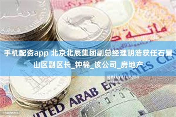 手机配资app 北京北辰集团副总经理胡浩获任石景山区副区长_钟棉_该公司_房地产