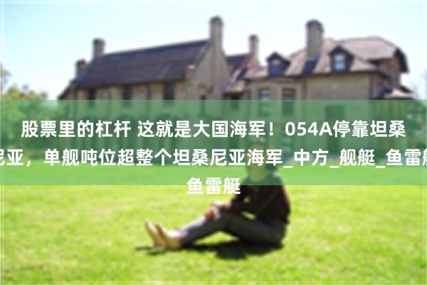 股票里的杠杆 这就是大国海军！054A停靠坦桑尼亚，单舰吨位超整个坦桑尼亚海军_中方_舰艇_鱼雷艇
