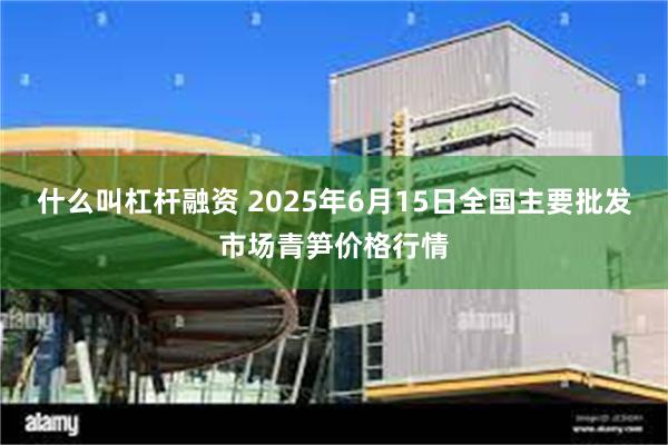 什么叫杠杆融资 2025年6月15日全国主要批发市场青笋价格行情