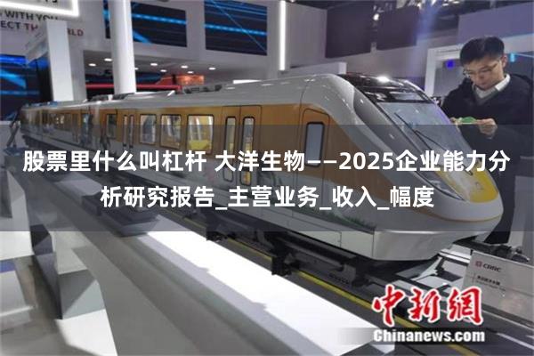股票里什么叫杠杆 大洋生物——2025企业能力分析研究报告_主营业务_收入_幅度
