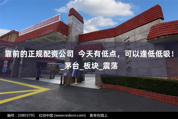 靠前的正规配资公司  今天有低点，可以逢低低吸！_茅台_板块_震荡