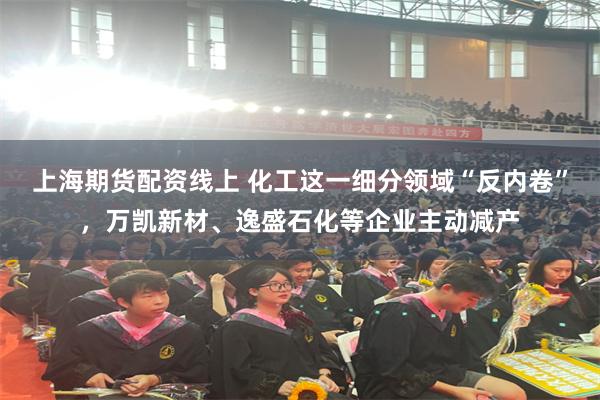 上海期货配资线上 化工这一细分领域“反内卷”，万凯新材、逸盛石化等企业主动减产