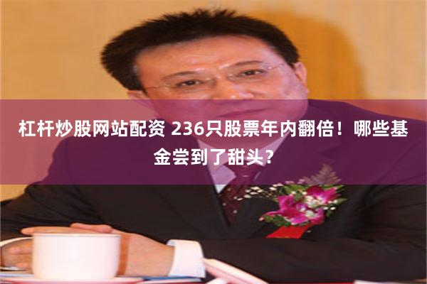 杠杆炒股网站配资 236只股票年内翻倍！哪些基金尝到了甜头？