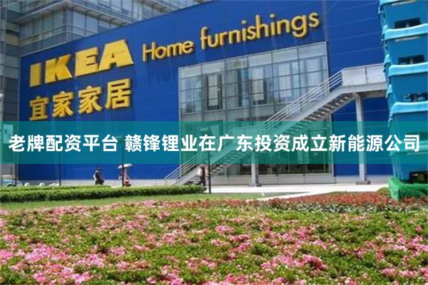老牌配资平台 赣锋锂业在广东投资成立新能源公司