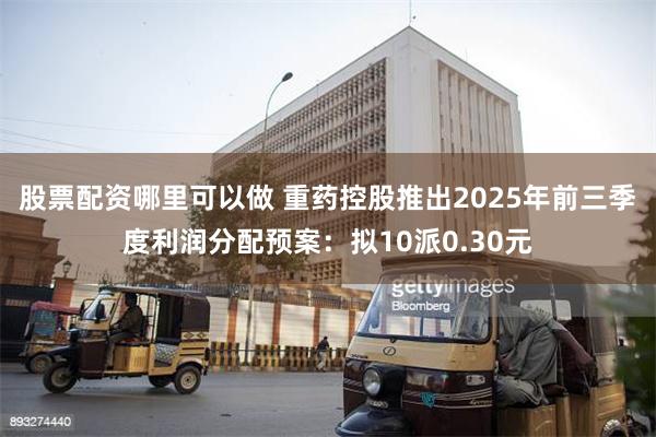 股票配资哪里可以做 重药控股推出2025年前三季度利润分配预案:拟10派0.30元